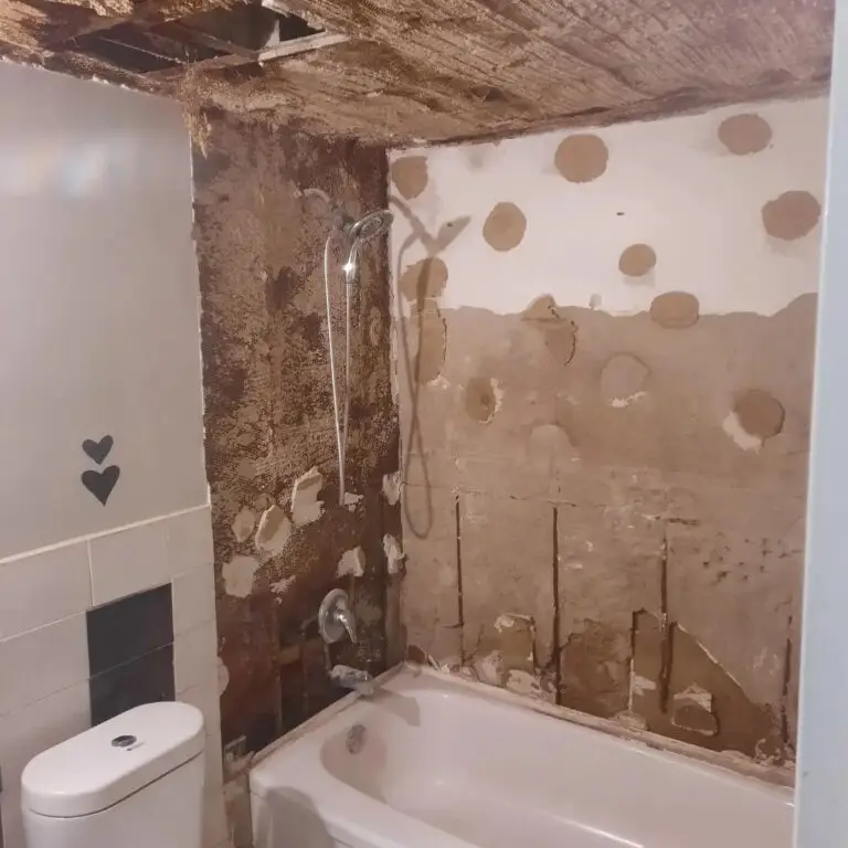 bathroom renovation HCI